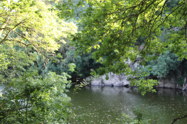 Bord de Sèvre