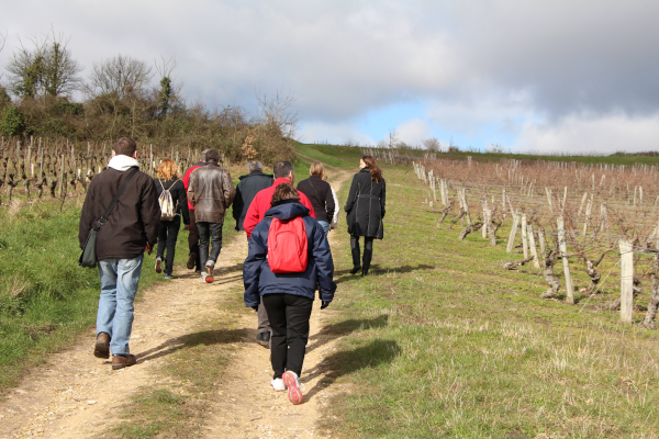 visites-pédestres - idées