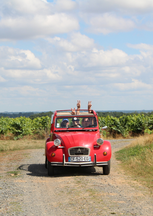 Voiture - Vignoble de Nantes